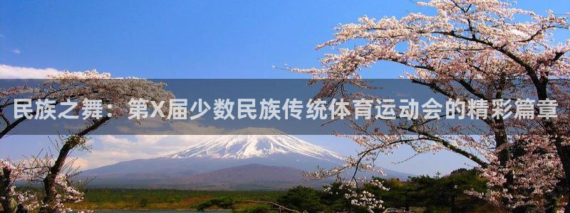 必发官网下载注册:民族之舞:第X届少数民族传统体育运动会的精
