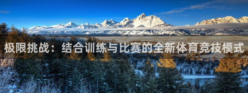 必发官方正版app娱乐首页网站大全:极限挑战:结合训练与比赛