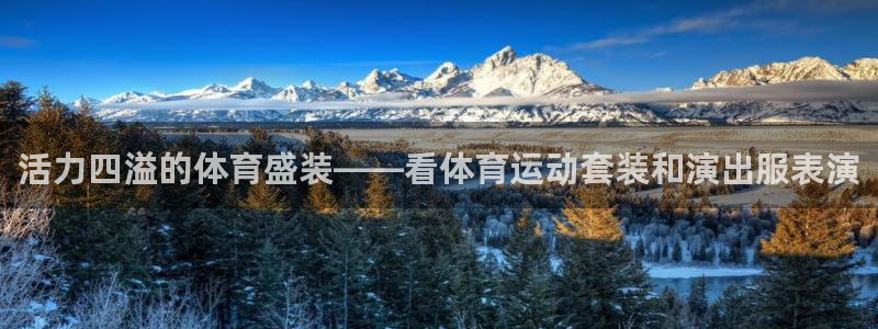 必发官网下载招商电话号码是多少啊:活力四溢的体育盛装——看体